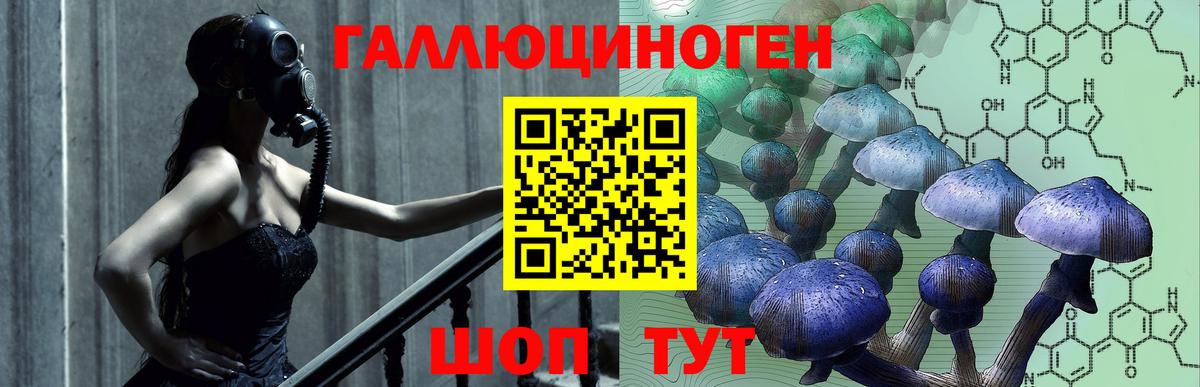 Павловский Посад  Псилоцибиновые грибы мицелий  Вход с VPN  Галлюциногенные грибы Cubensis 